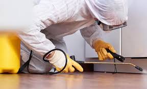 Best Residential Pest Control  in Keystone Heights, FL